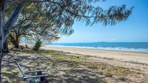 Una spiaggia con una panchina e alberi.