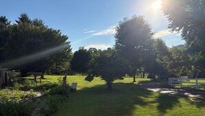A grassy outdoor area with trees, a white fence, and a clear sky.