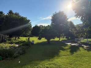 A grassy outdoor area with trees, a white fence, and a clear sky. -  The Country Mile farmhouse in Franklin (Franklin)