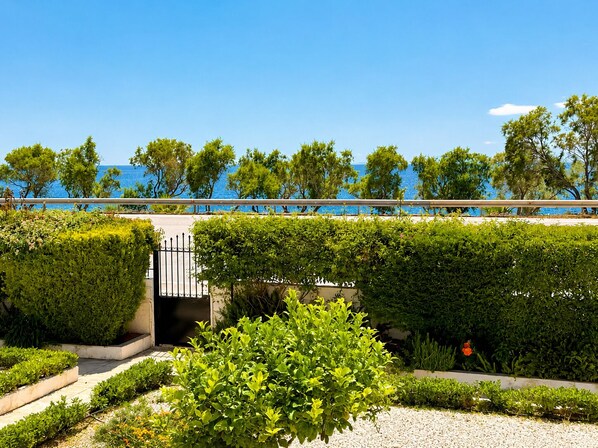 Property grounds - Beachfront Jacuzzi Retreat Seaview Walk Everywhere (Saronida)