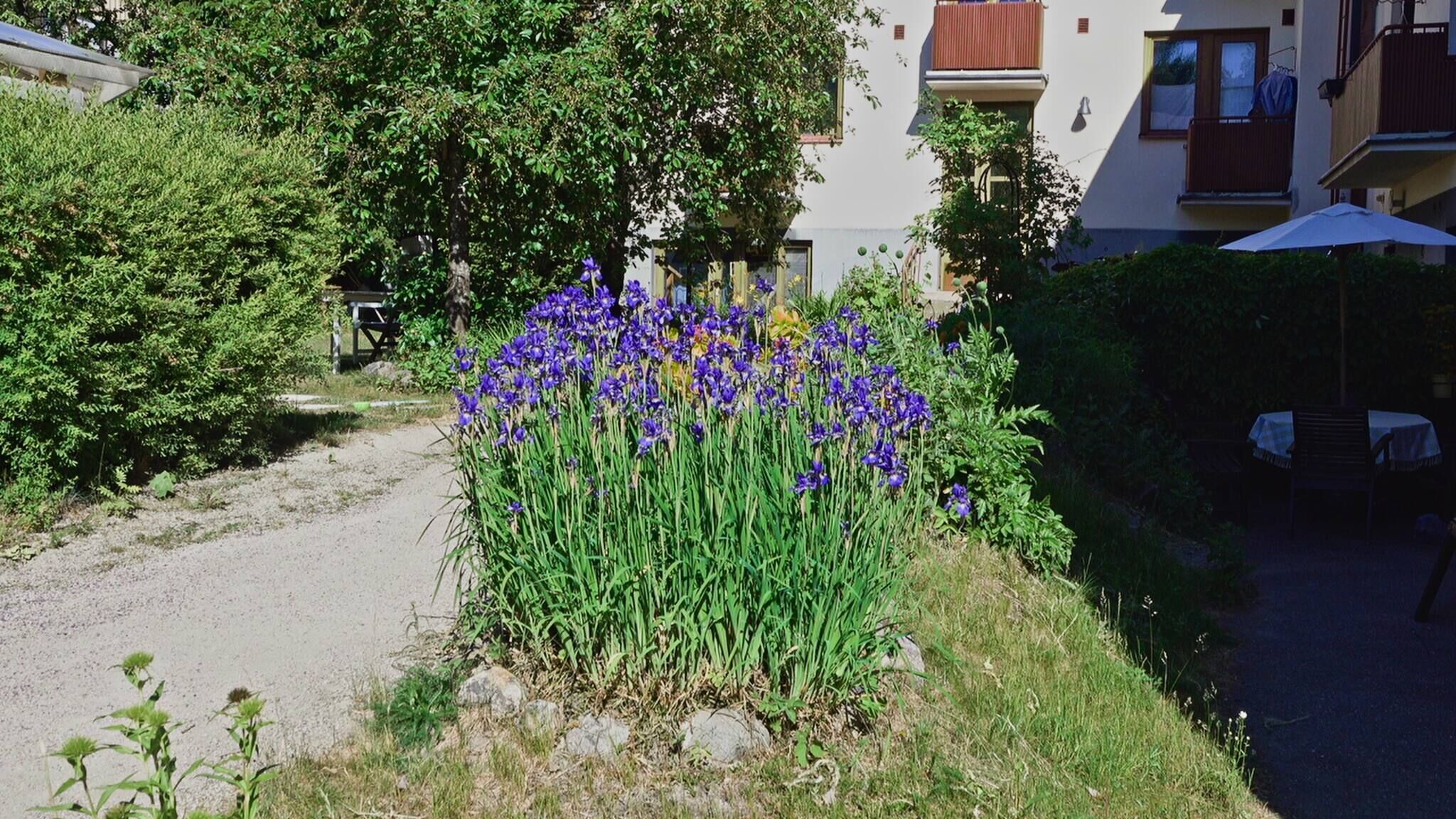 Ulkoruokailutilat