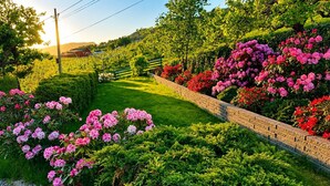 Un jardin aménagé avec un mur en briques, des haies et des plantes à fleurs.