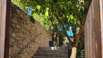 Un escalier en pierre mène à une porte en bois, qui est elle-même entourée d’un mur de pierre et d’un arbre aux feuilles vertes.