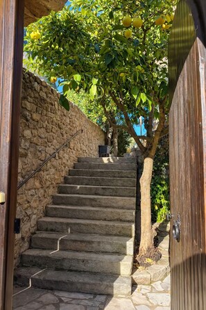 Un escalier en pierre mène à une porte en bois, qui est elle-même entourée d’un mur de pierre et d’un arbre aux feuilles vertes.
