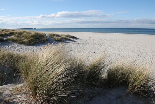 Ein Strand mit Dünen und blauem Himmel.