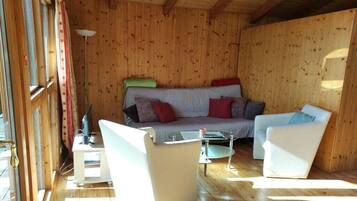 Smart-TV, Kamin