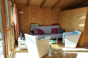 Smart-TV, Kamin