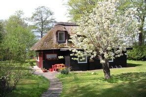 Esterni