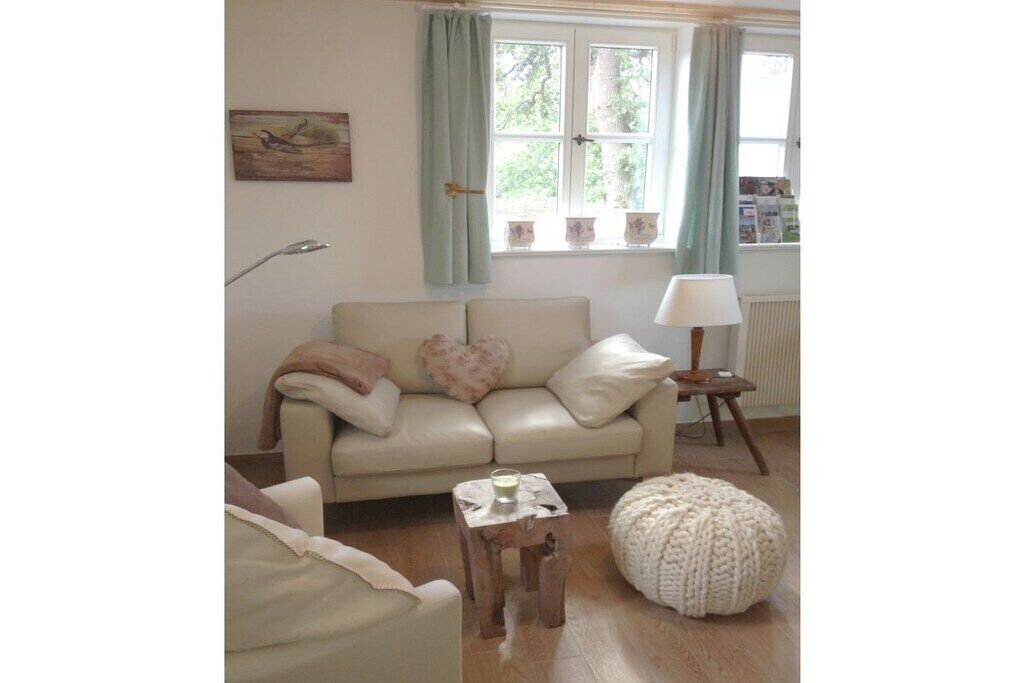 Smart TV, fireplace, books, stereo