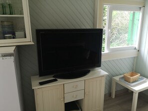 A television on a cabinet, a remote control, a small table with a basket, and a window with greenery outside. - The house, as seen from the property's private pond (Sampigny)