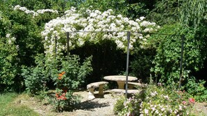 Um jardim com uma pérgola coberta de flores brancas, um banco de pedra e diversos arbustos.