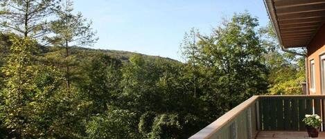Terrain de l’hébergement