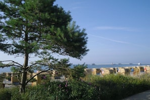Eine Küstenansicht mit Baum, Strandstühlen und weiter Meerblick.