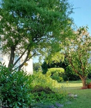 Property grounds - Countryside excursion in the Eifel region (Laubach)
