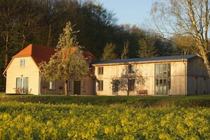 Exterior - Forest House - Cottage with private beach (Faulück)