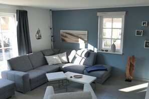 Smart-TV, Kamin