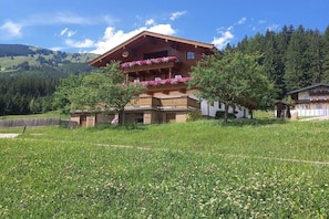 Ulkopuoli