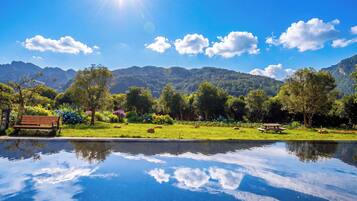 Un paisaje sereno con un estanque reflectante, bancos y una mesa de picnic.
