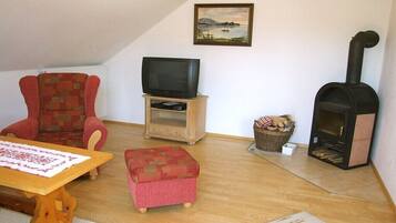 Smart-TV, Kamin