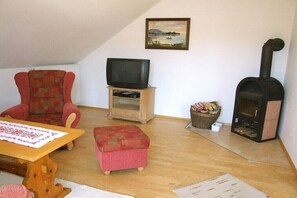 Smart-TV, Kamin