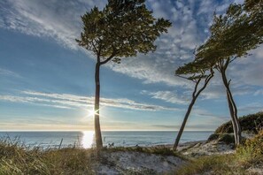 Beach - Summer log cabin "Lütt Hüsing" (Ostseebad Dierhagen\/OT Dändorf)