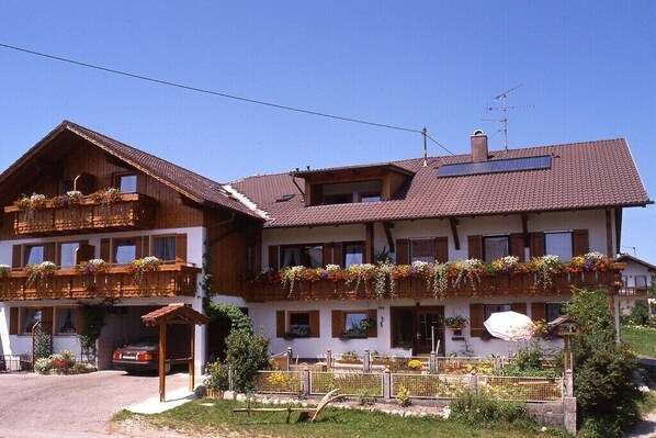 Esterni