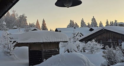 Hütte in Sankt Englmar mit Schwimmbecken