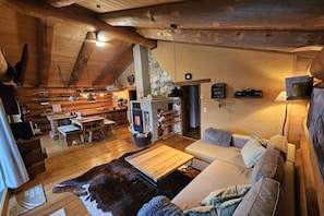 Smart TV, fireplace, books