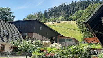 Exterieur