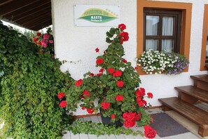 Exterior detail - Holiday apartment in Mauth with swimming pool (Mauth)