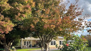 A building with a covered porch, a gravel driveway, and a wooden fence. - Cliff Top Homestead - great for couples, friends, families and large groups (Ōhingaiti)