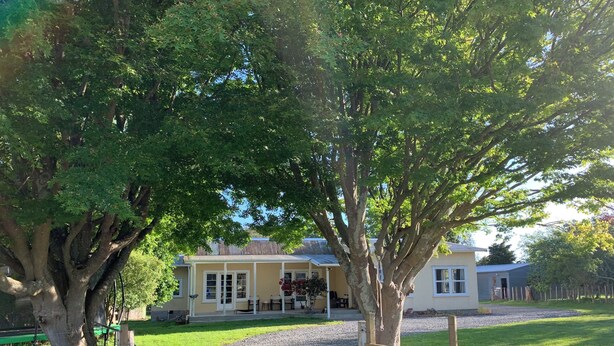 A house with a gravel driveway, a wooden gate, and a large tree in the foreground. - Cliff Top Homestead - great for couples, friends, families and large groups (Ōhingaiti)