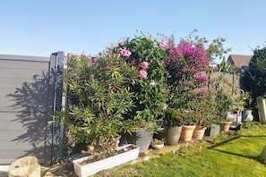 Property grounds - Holiday apartment with 1 bedroom (Wiarden)