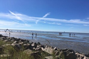 Beach - "Home on the Süderdeich" (Friedrichskoog)