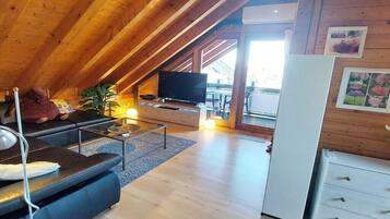 Smart-TV, DVD-Player, Bücher
