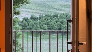 Eine Tür, die auf einen Balkon mit Blick auf ein Weinberg und entfernte Gebäude führt.