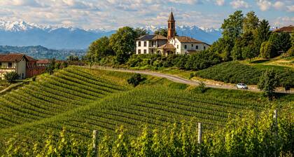 Villa Irene Langhe - Red Suite, First Floor - View of the Monforte and Novello Vineyards