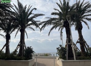 Miscellaneous - 16514416 LIONS La Croisette, just a stone's throw away (Cannes)