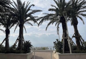 Miscellaneous - 16514416 LIONS La Croisette, just a stone's throw away (Cannes)