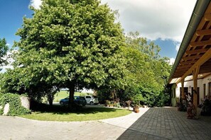 Ein überdachter Außenbereich mit befestigtem Weg, einem großen Baum und geparkten Autos.