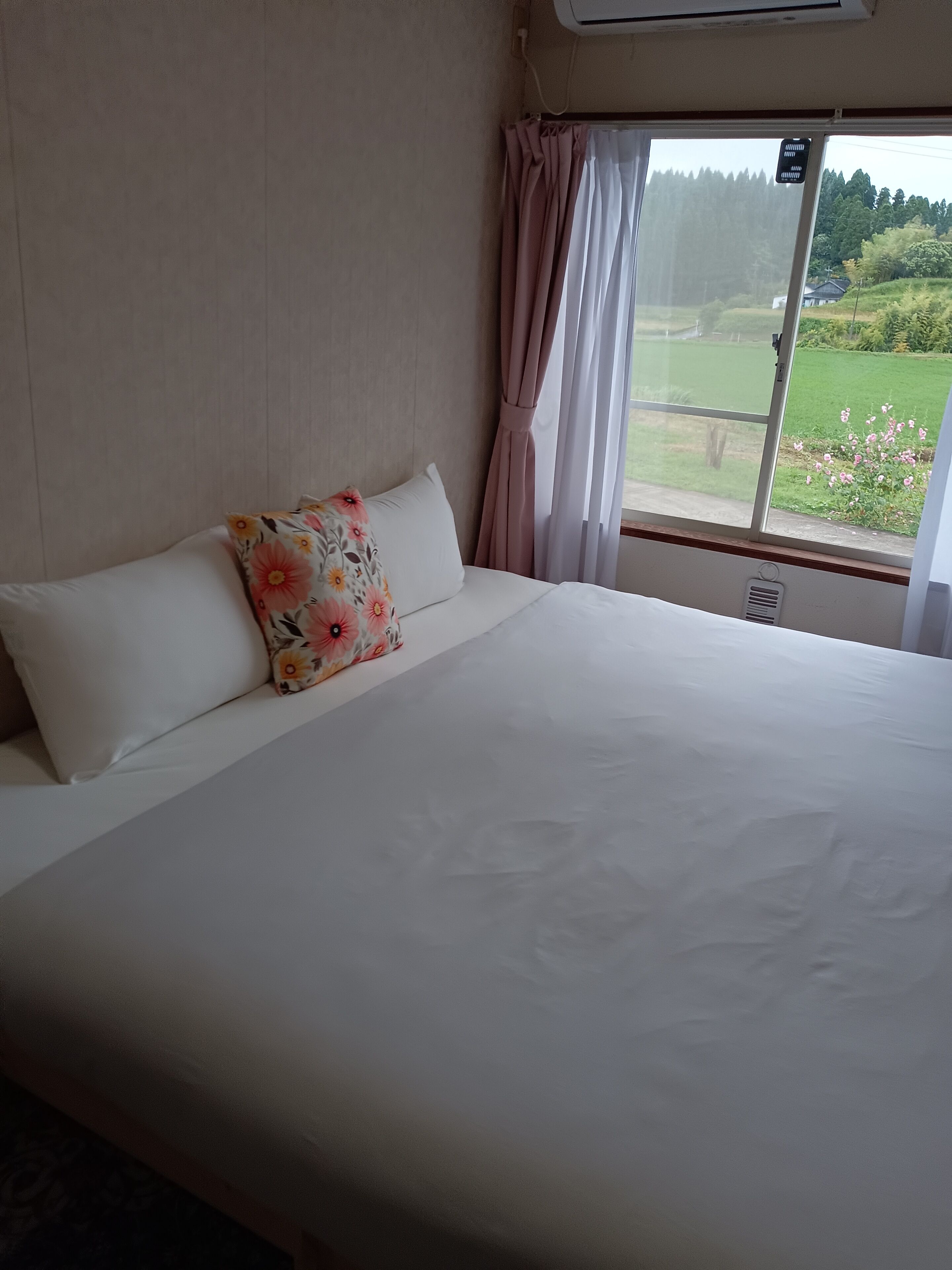 Apartment, 1 King Bed