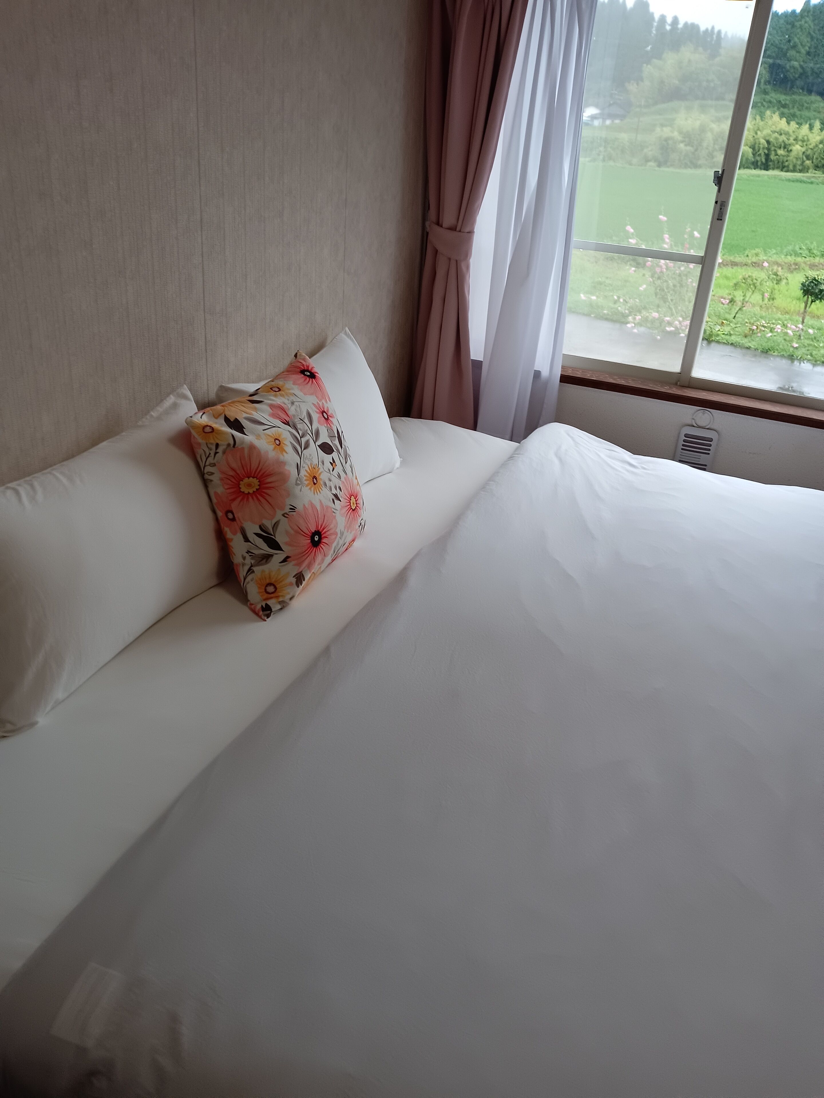 Apartment, 1 King Bed | Free WiFi