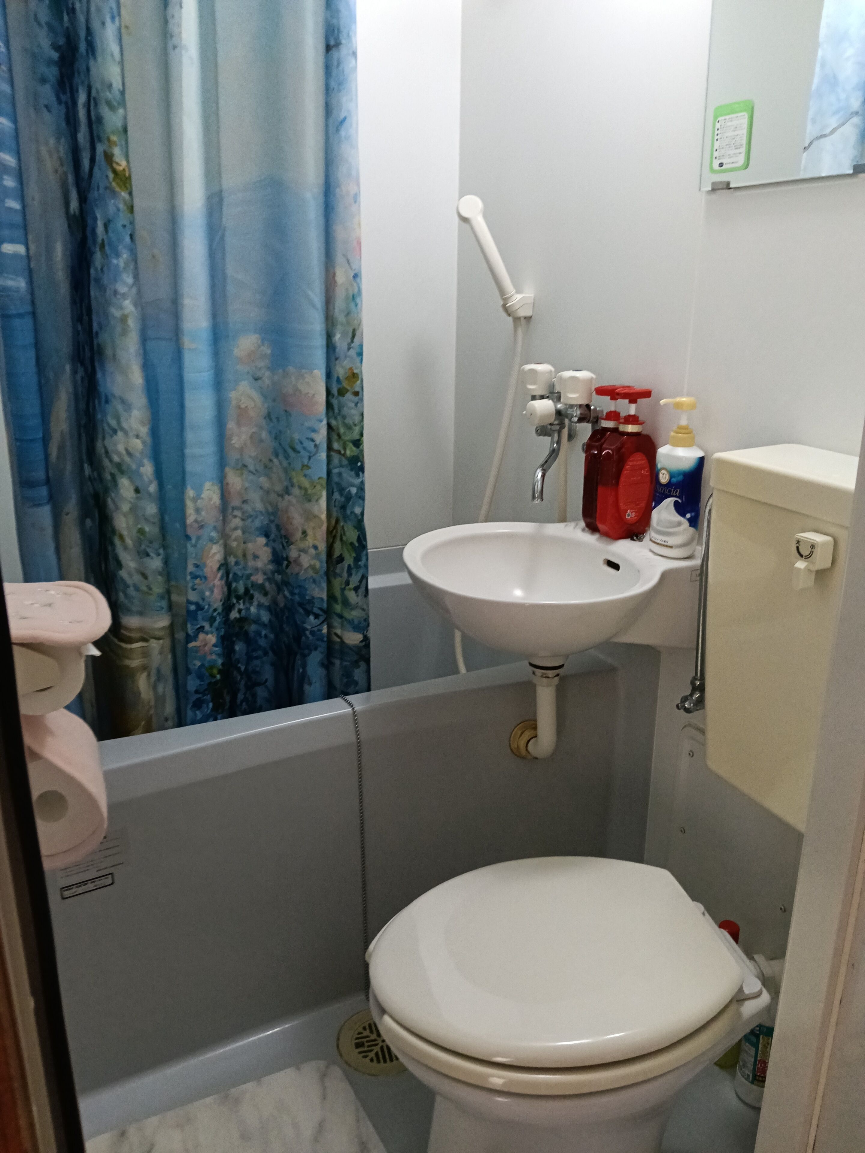 Apartment, 1 King Bed | Bathroom
