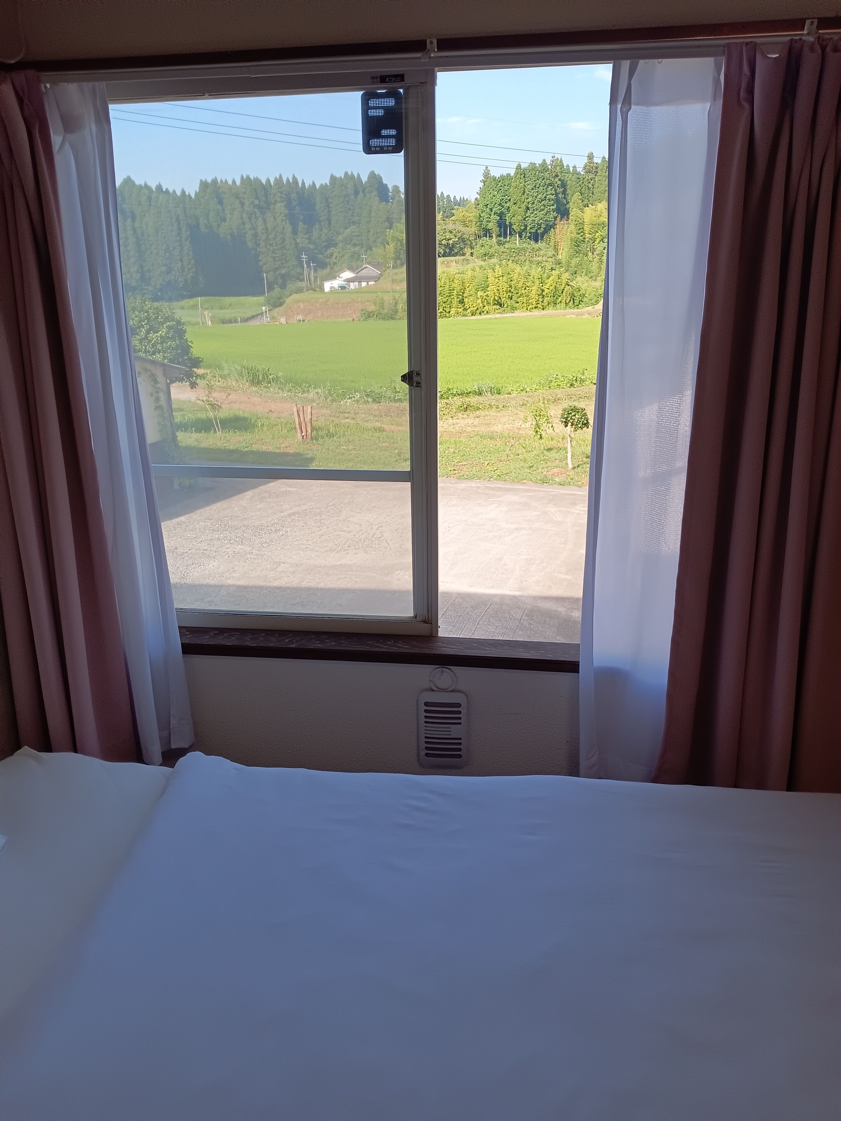 Apartment, 1 King Bed | View from room