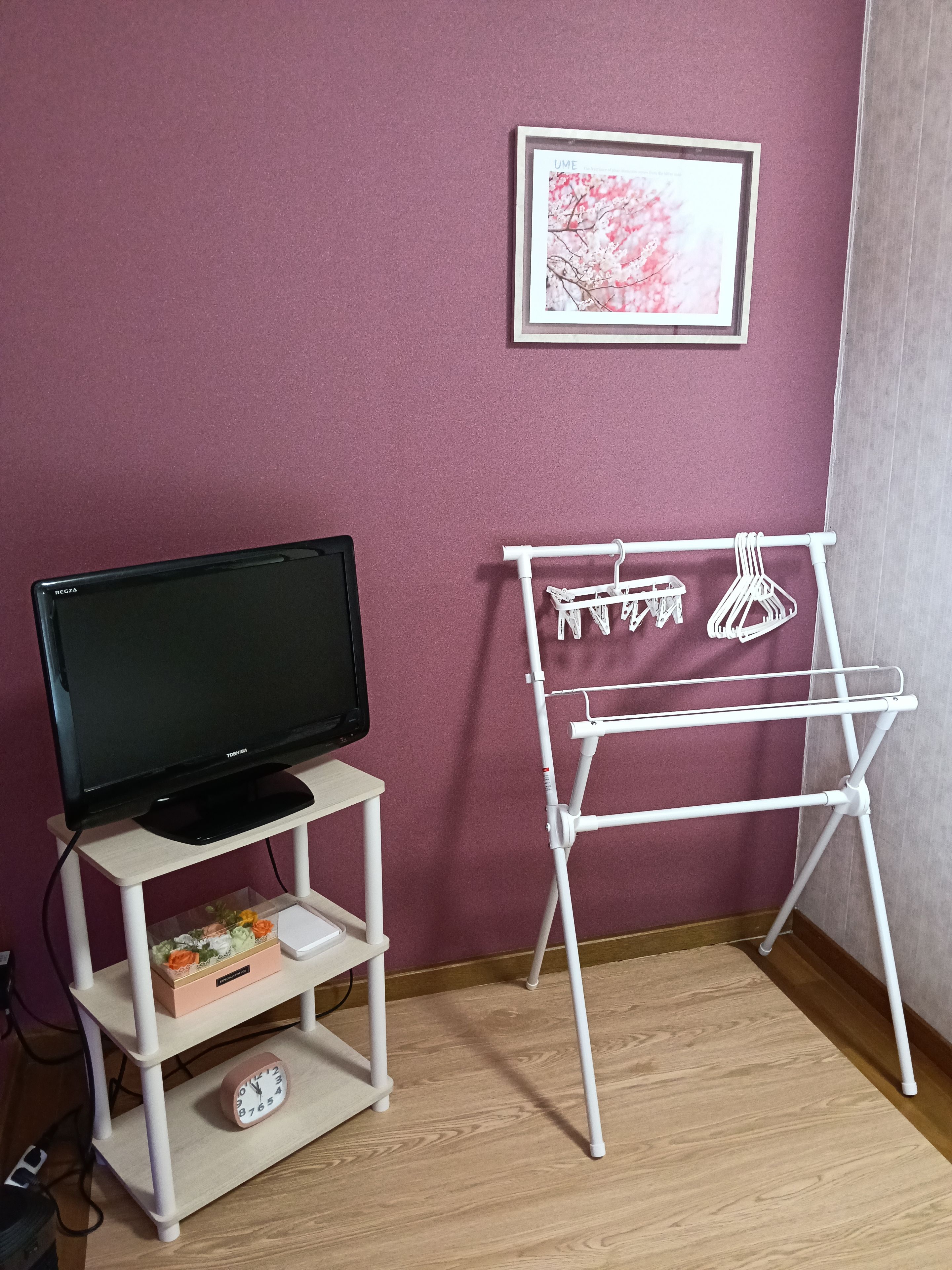 A room with a television on a stand, a white drying rack, a framed picture on the wall, and a clock on a shelf.