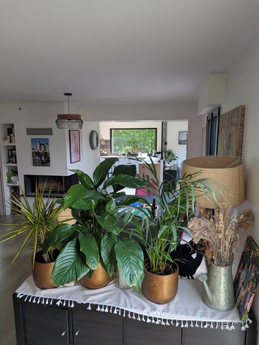 Family Home