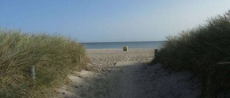 Ranta
