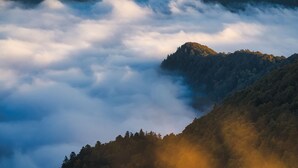Un paisaje montañoso con una colina boscosa y un valle cubierto de nubes.
