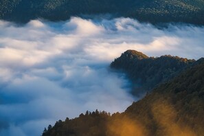 A mountainous landscape with a forested hill and a valley shrouded in clouds. - Studio with Terrace & View of the Vosges - Heart of Gérardmer (Gérardmer)