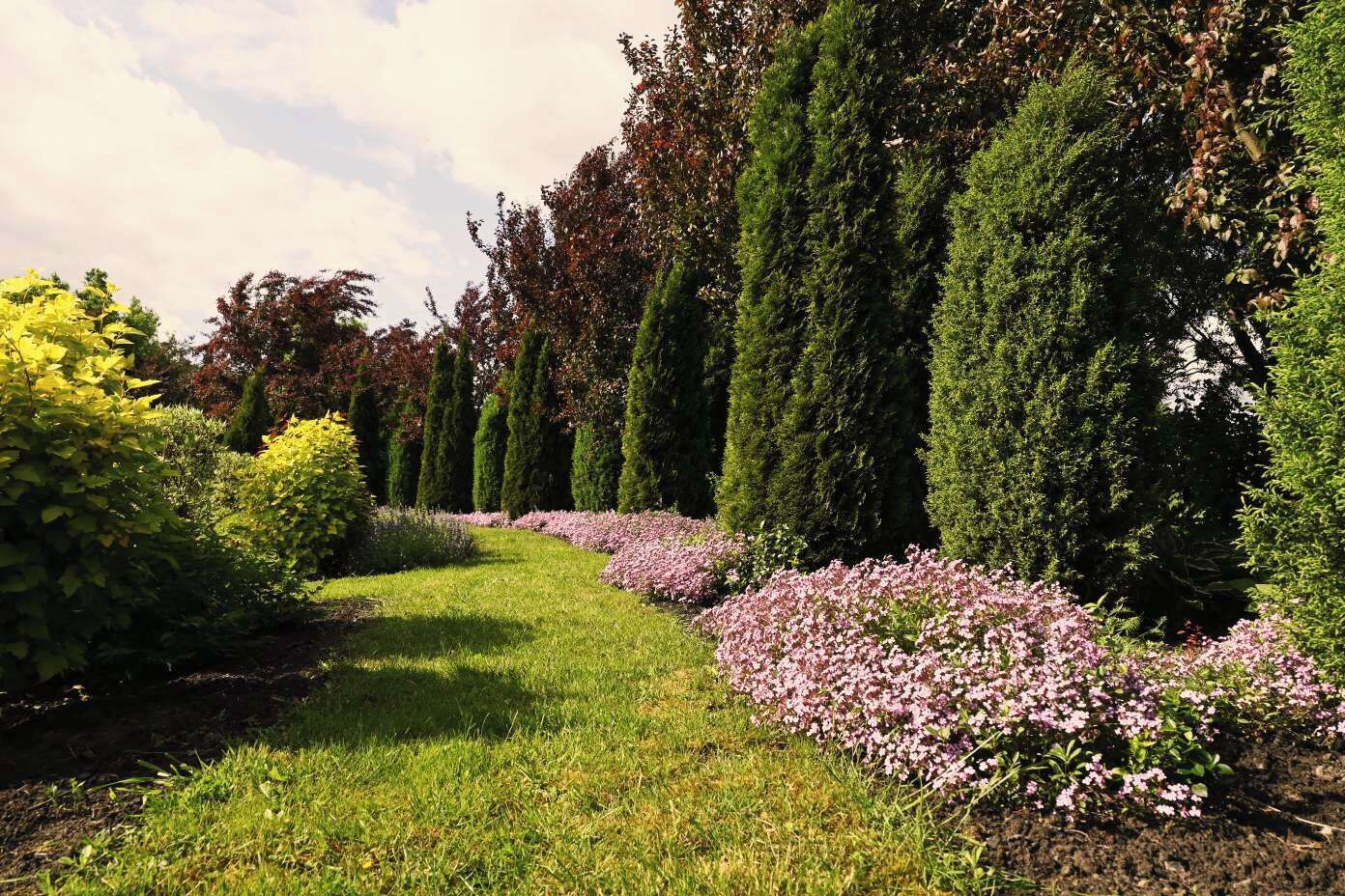 Um caminho no jardim ladeado por sebes bem aparadas e arbustos floridos.